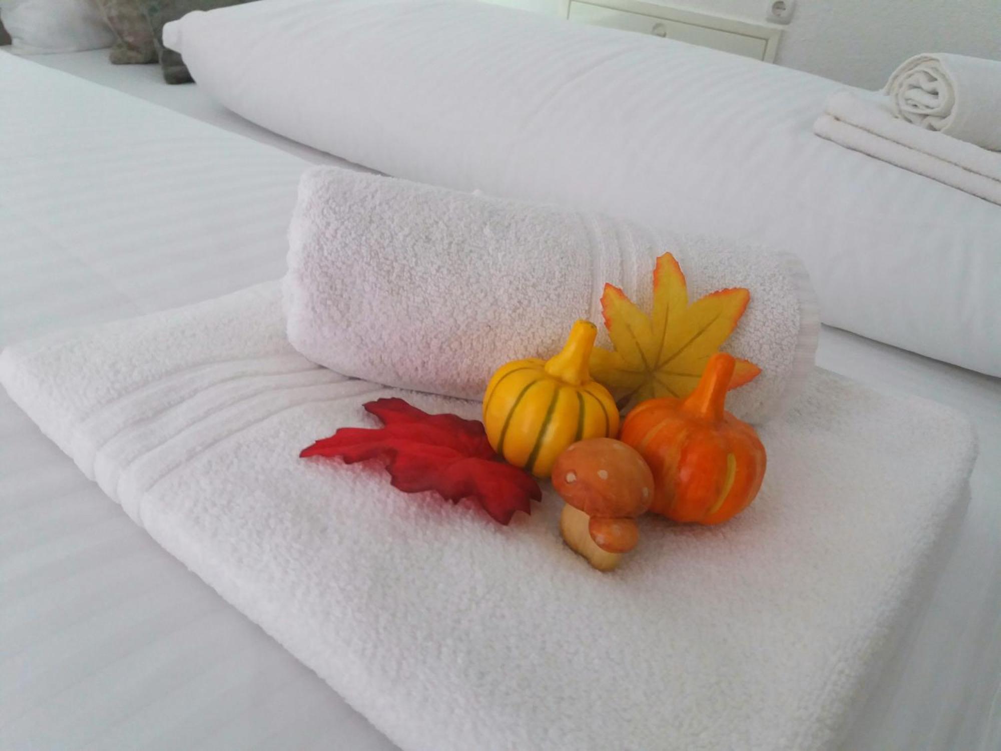 Apartment Esha 塞拉耶佛 客房 照片